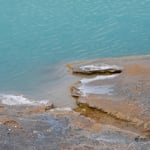 Edge of Hot Spring Yellowstone