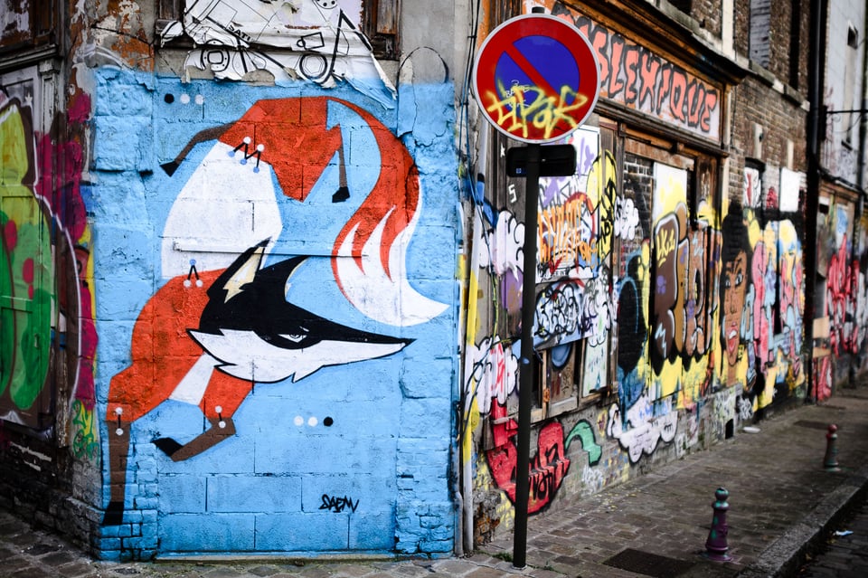 Fox Graffiti in Amiens