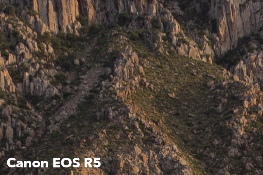 100% crop of Canon EOS R5