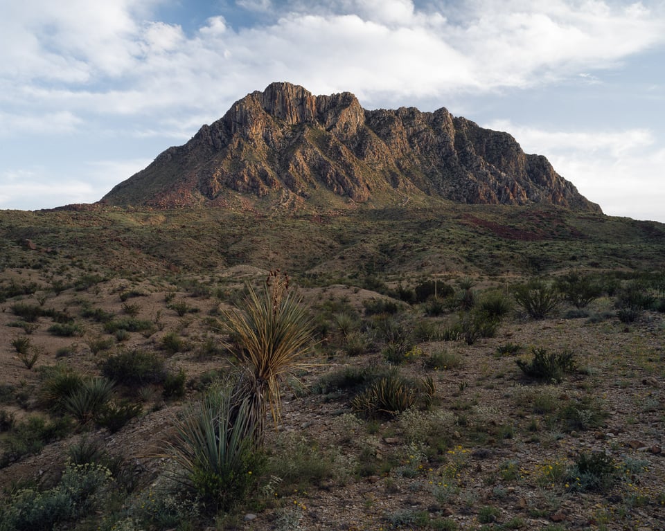 4x5 Film Landscape Example Photo with Detail