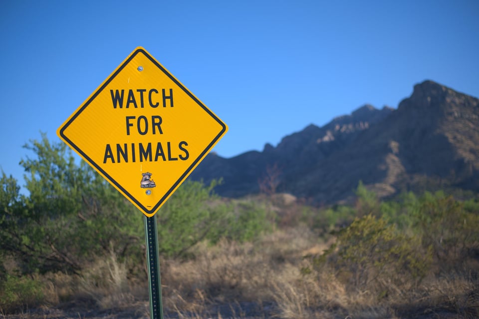 Watch_For_Animals_Sign