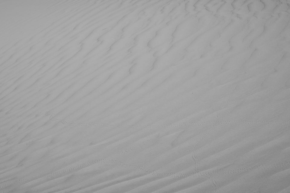 Dull black and white photo of sand dunes with no subject separation