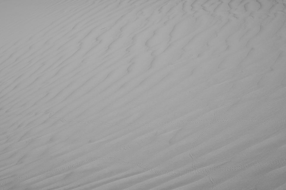 Dull black and white photo of sand dunes with no subject separation