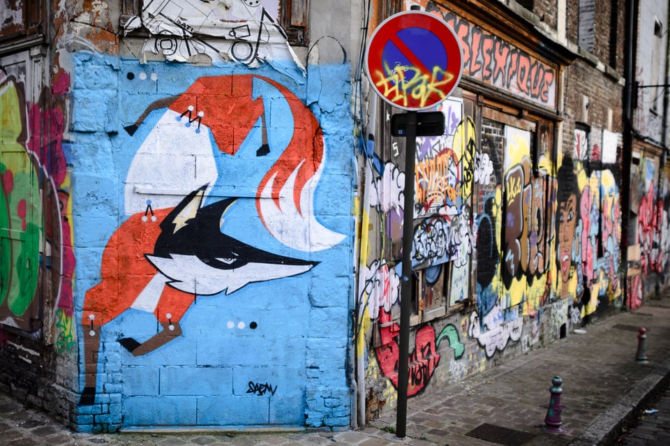 Nikon-D7000-00014