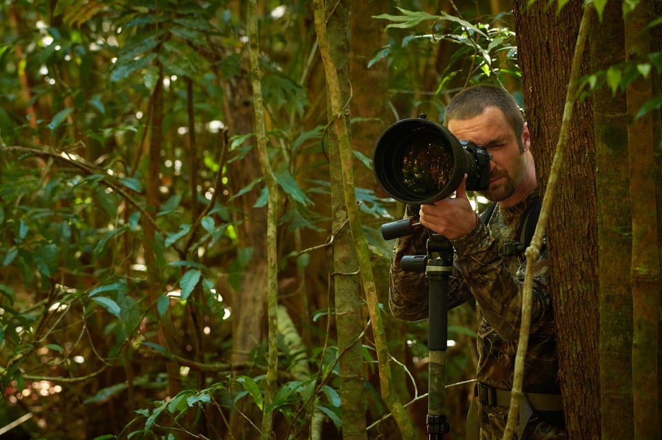 Libor in the field