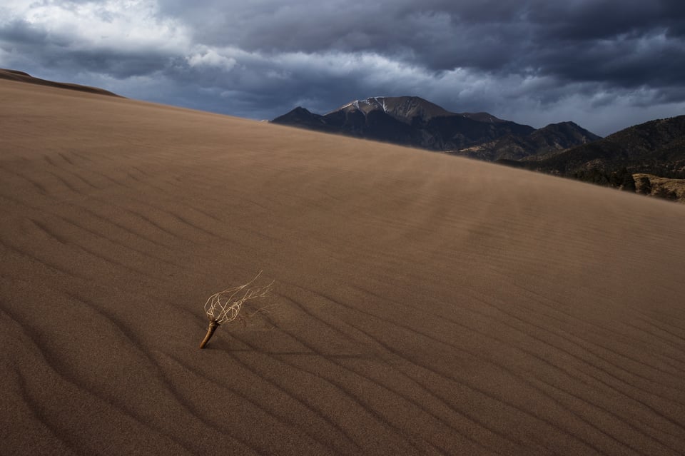 Wide angle sand dunes landscae with closest object at bottom left corner