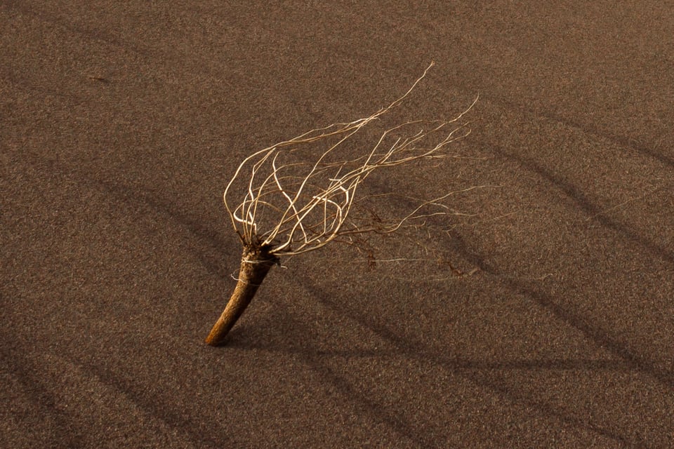 100% Crop of Sand Dune Photo Kit Lens