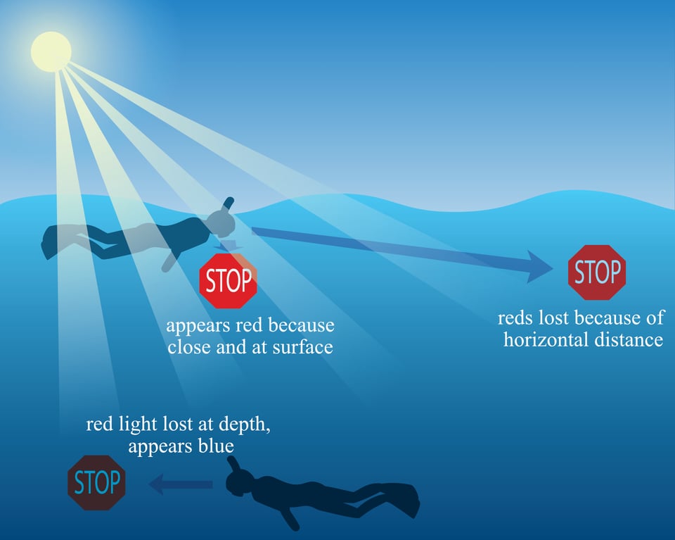 Graphic depicting how red light is absorbed underwater