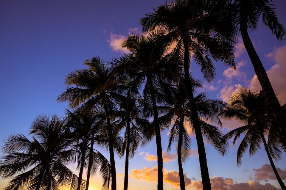 Hawaii Sunset