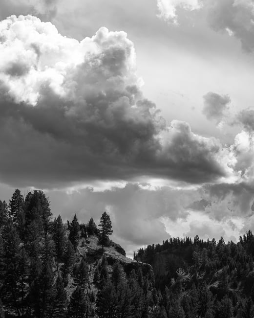 Black and white landscape with clouds Yellowstone