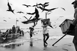 Puerto Lopez_Fishermen