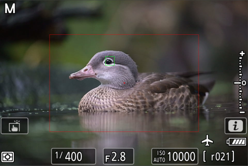 Nikon Z9 Low light focusing system screenshot