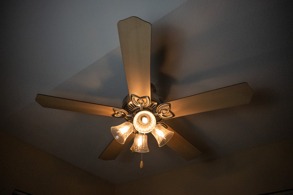 Nikon Z9 No Rolling Shutter Ceiling Fan