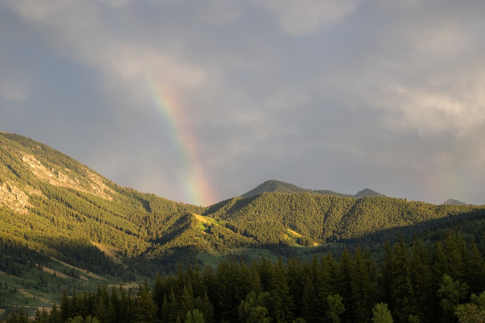 Rainbow Landscape Nikon Z9 Review