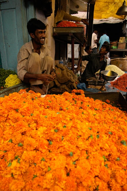 India Market