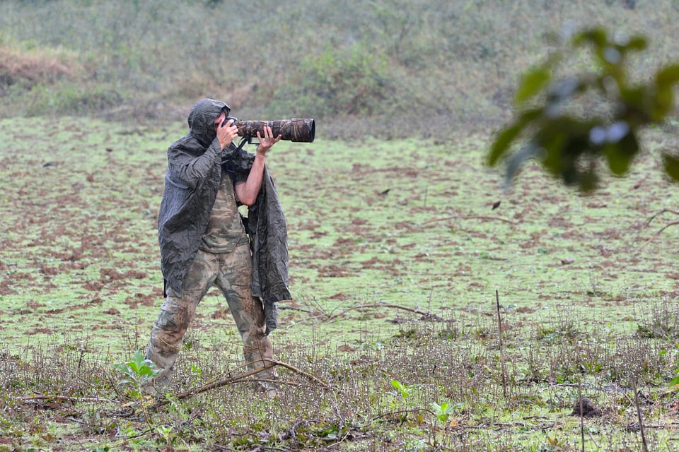 omas Grim_field photo