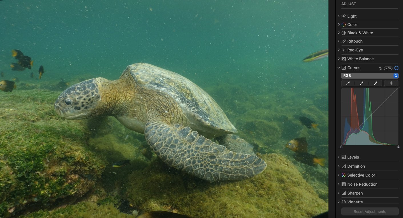 use curves to edit underwater photos