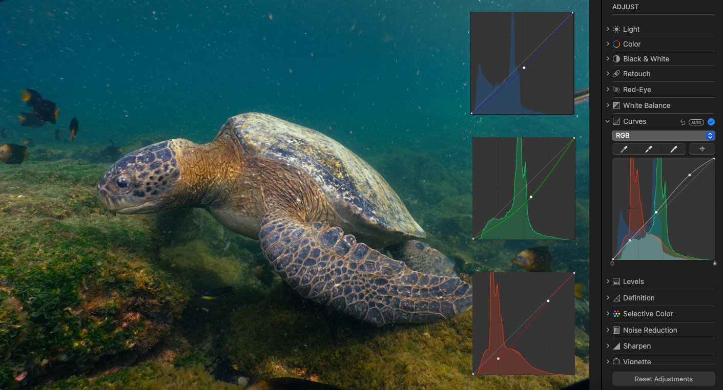 using curves adjustment to edit underwater photography
