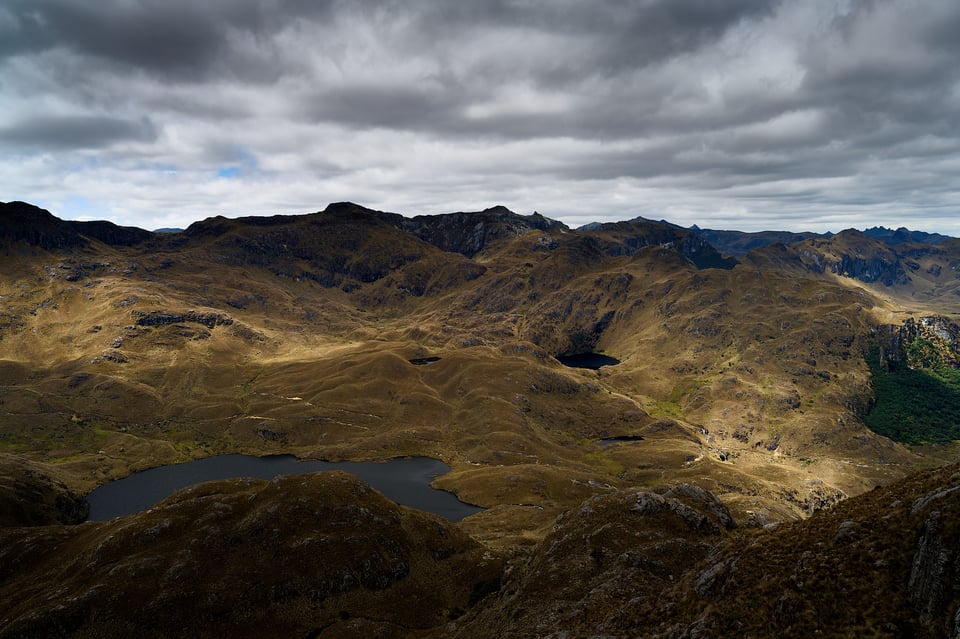 Cajas_Ecuador_Paramo_03