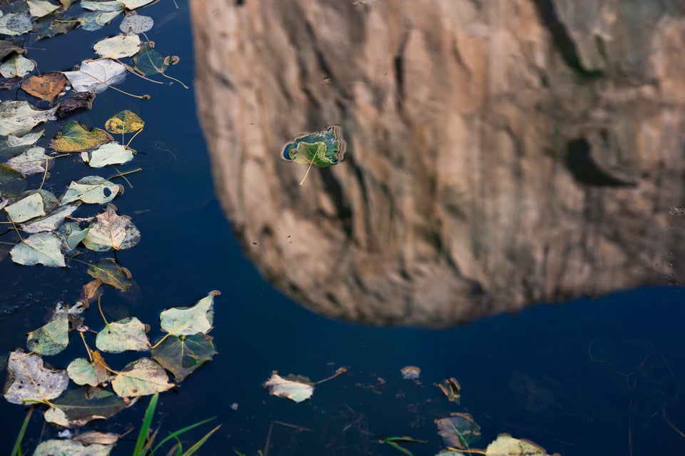 Nikon Z 24-120mm f4 S Sample Image 19 El Capitan Reflection with Leaves