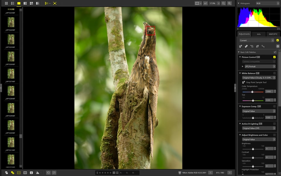 Potoo printscreen