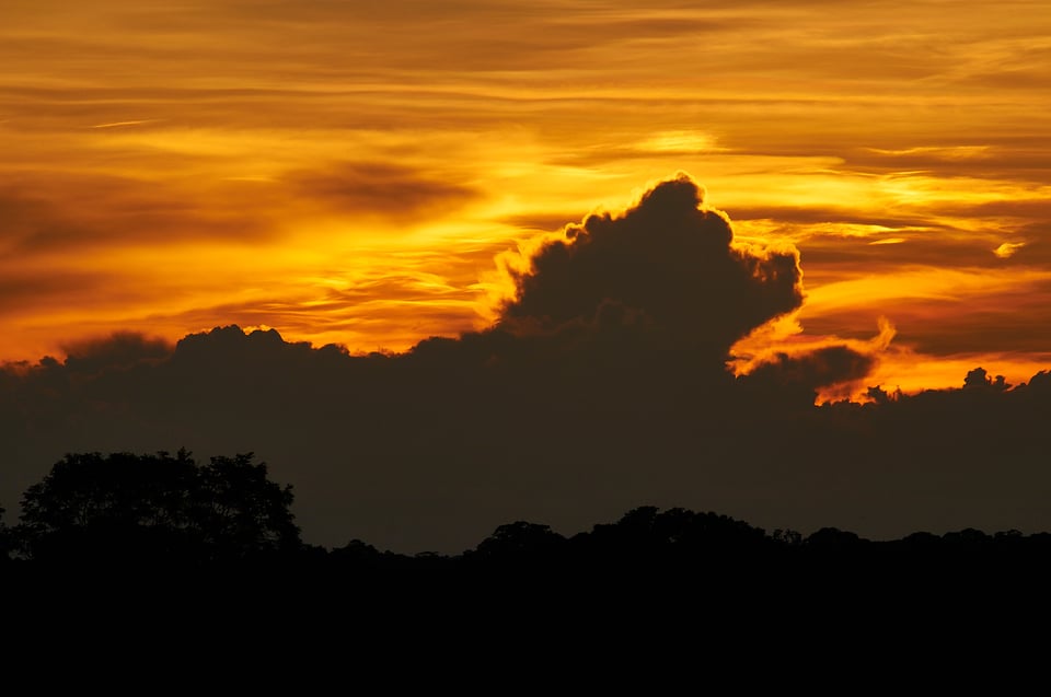 Rain-Forest sunset