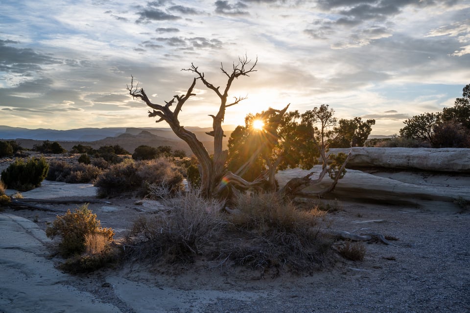 Backlit Photo with Sun at Sunset Nikon Z 40mm f2