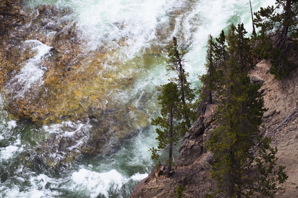 Photo 3 Abstract Pine Trees Yellowstone River