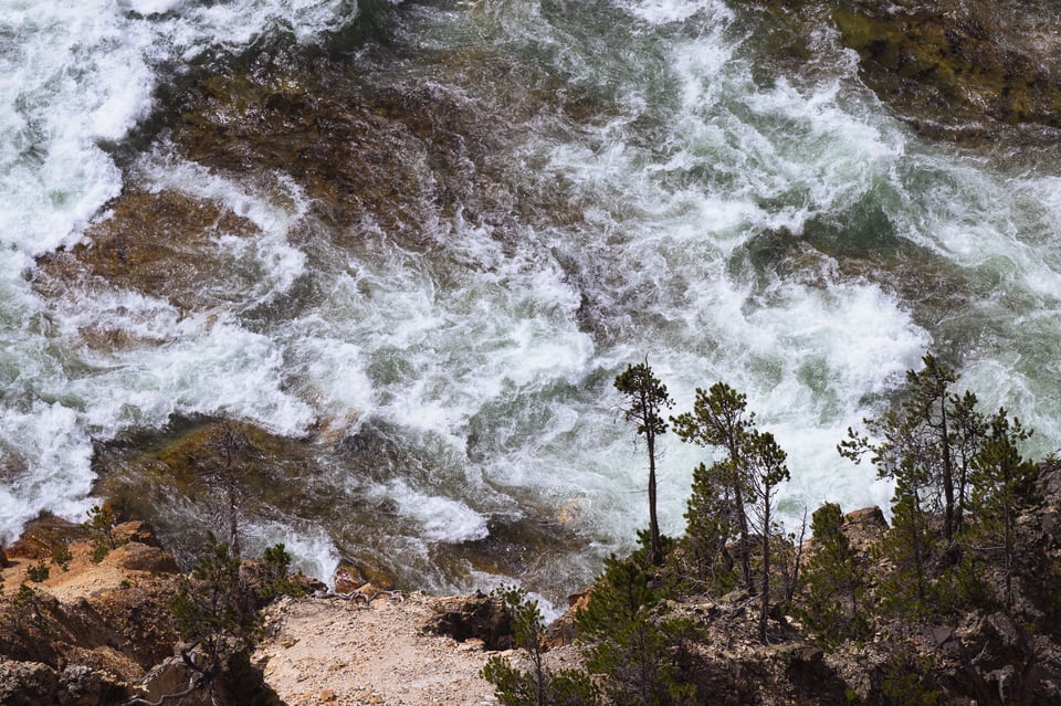 Photo 4 Silhouetted Trees Yellowstone River 400mm Almost Final