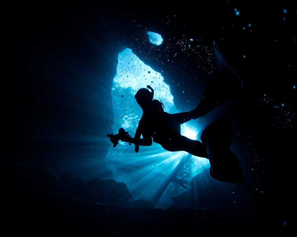 guide to buying an underwater housing for underwater photography