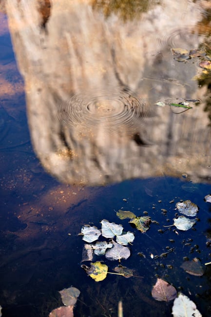 El Capitan Reflection with Leaves Nikon Z 28-75mm f2.8