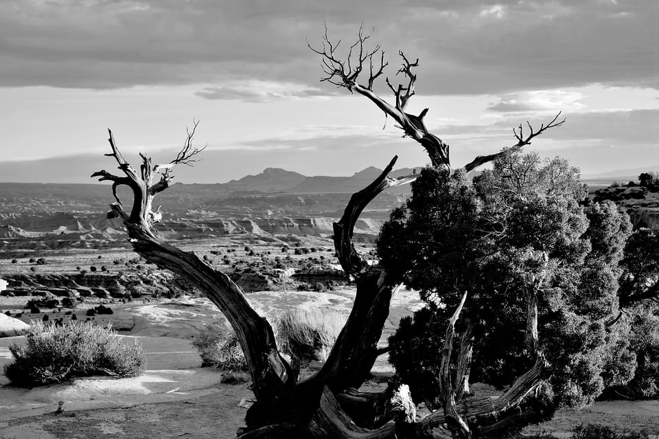 Nikon Z 28-75mm f2.8 Sample Photo of Landscape Black and White