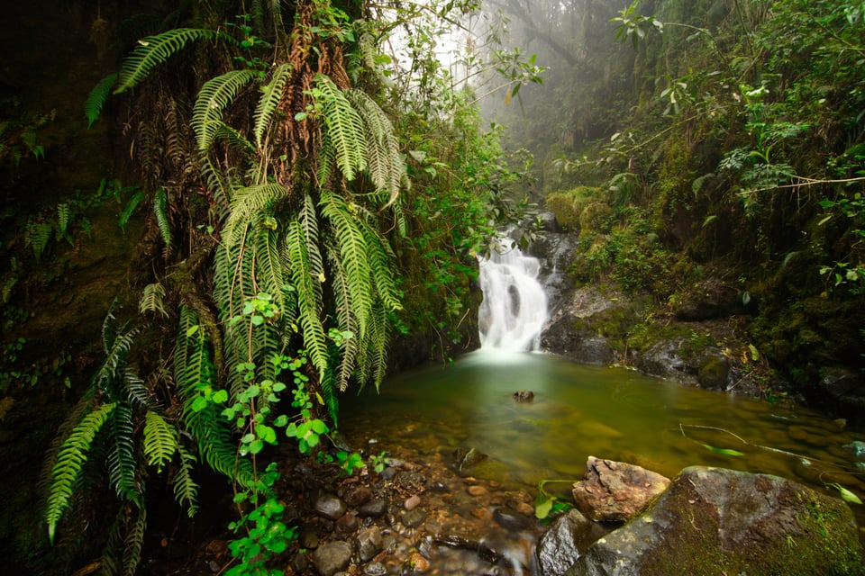 Colombian Stream_Luminar Neo