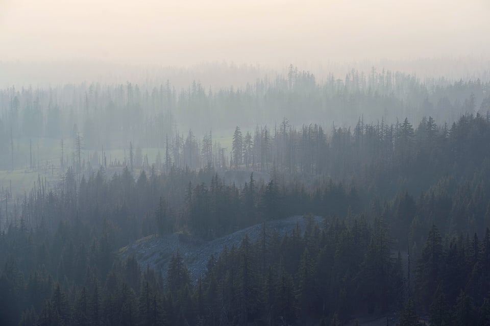 Nikon Z MC 105mm f2.8 VR S Macro Lens Sample Photo Foggy Smoky Mountains Fading into the Distance Landscape