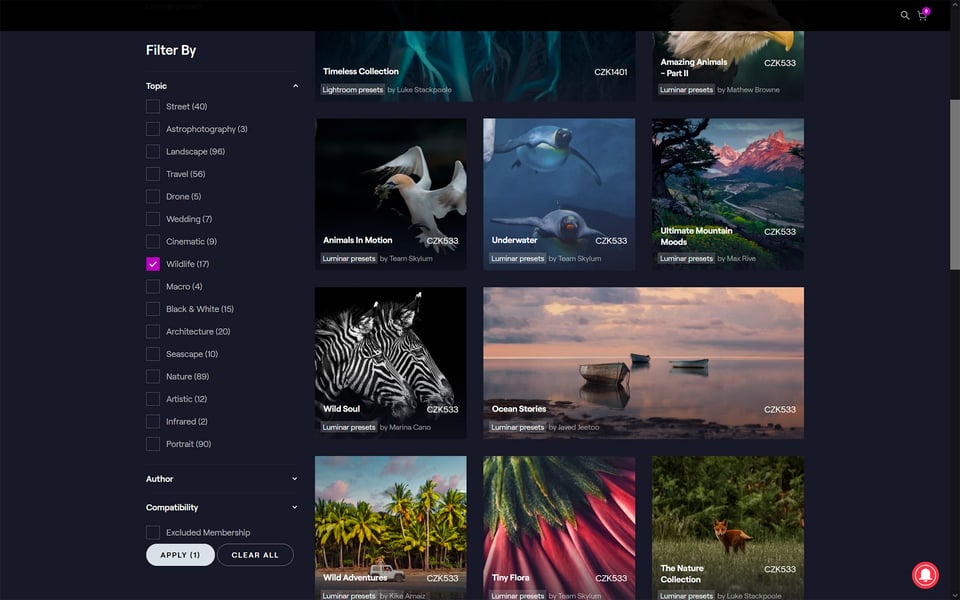 Presets to buy_Luminar Neo