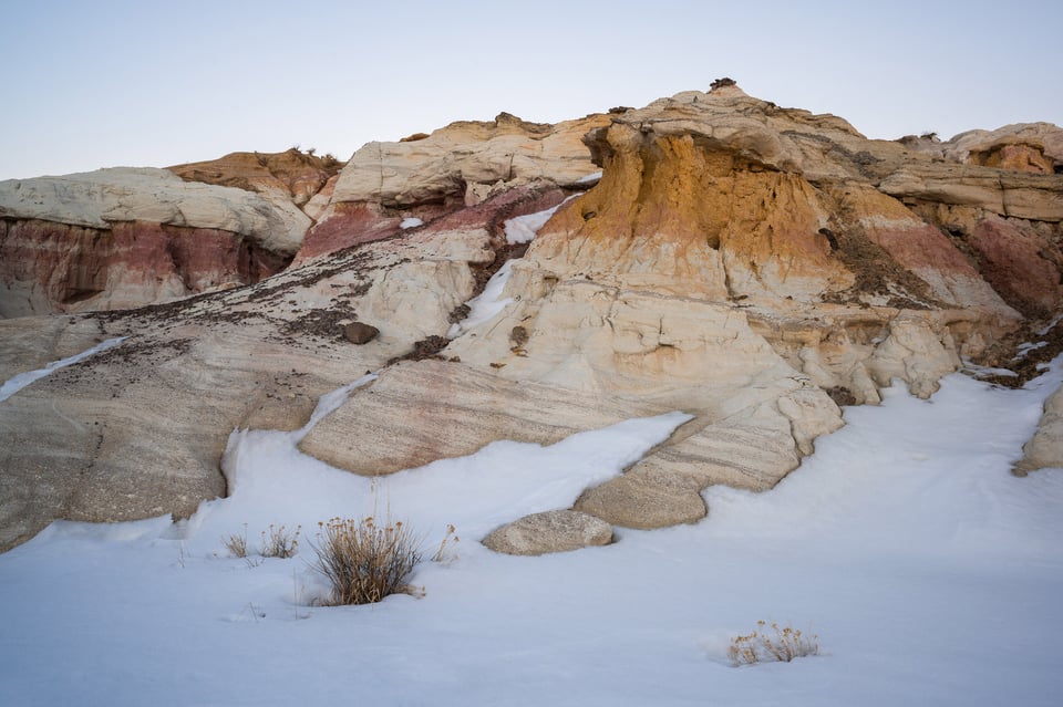 Rock formation and plant Nikon Z 17-28mm f2.8 Review