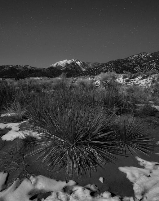 Yucca Black and White Nighttime Star Landscape Photography Nikon Z 17-28mm f2.8 Review