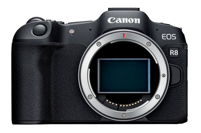 The Best Mirrorless Cameras of 2024, Ranked