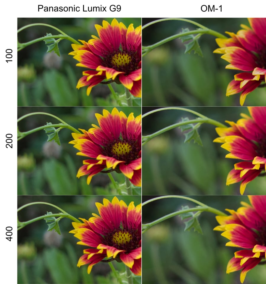 ISO performance comparison between Panasonic Lumix G9 and OM System OM-1 micro four thirds cameras 100-400