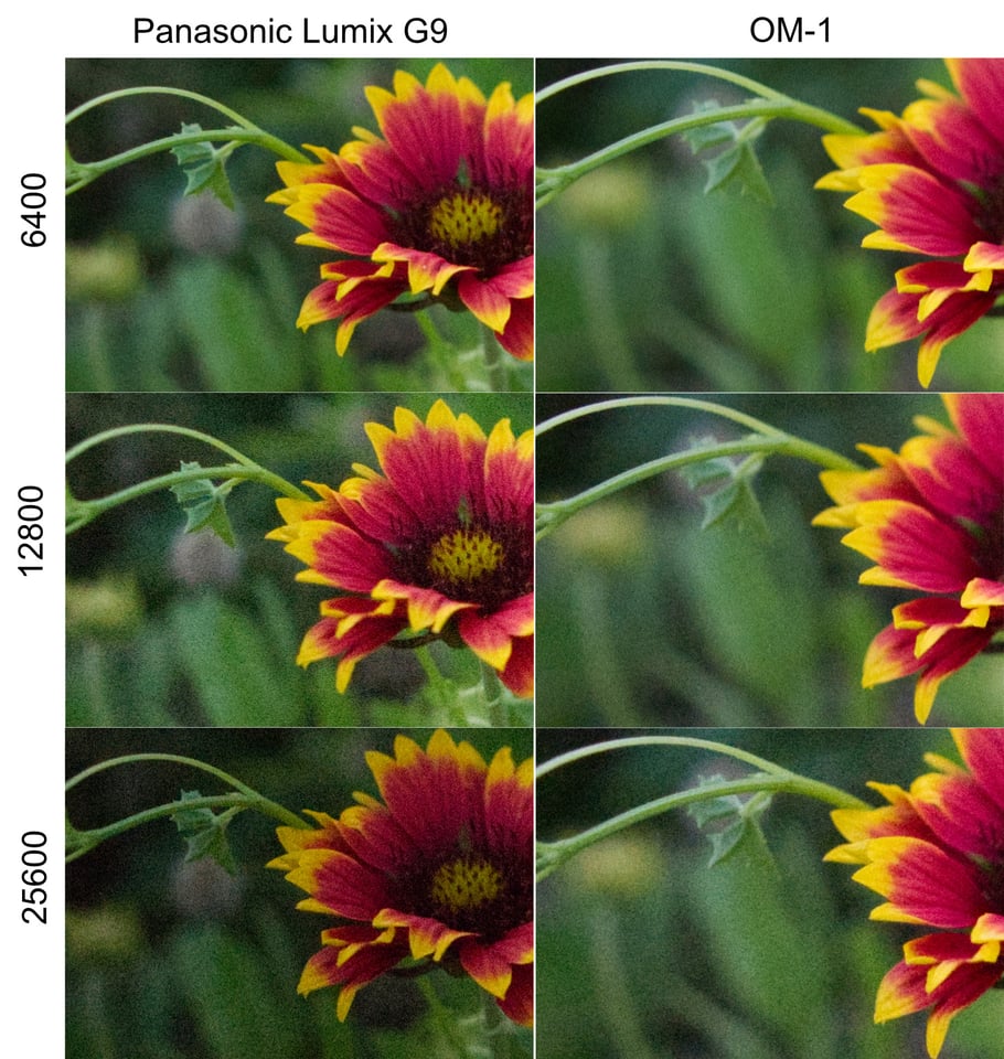 ISO performance comparison between Panasonic Lumix G9 and OM System OM-1 micro four thirds cameras 6400-25600