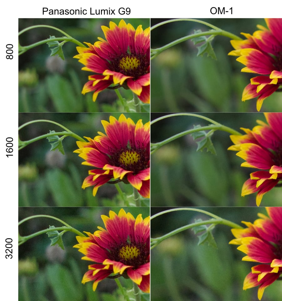 ISO performance comparison between Panasonic Lumix G9 and OM System OM-1 micro four thirds cameras 800-3200