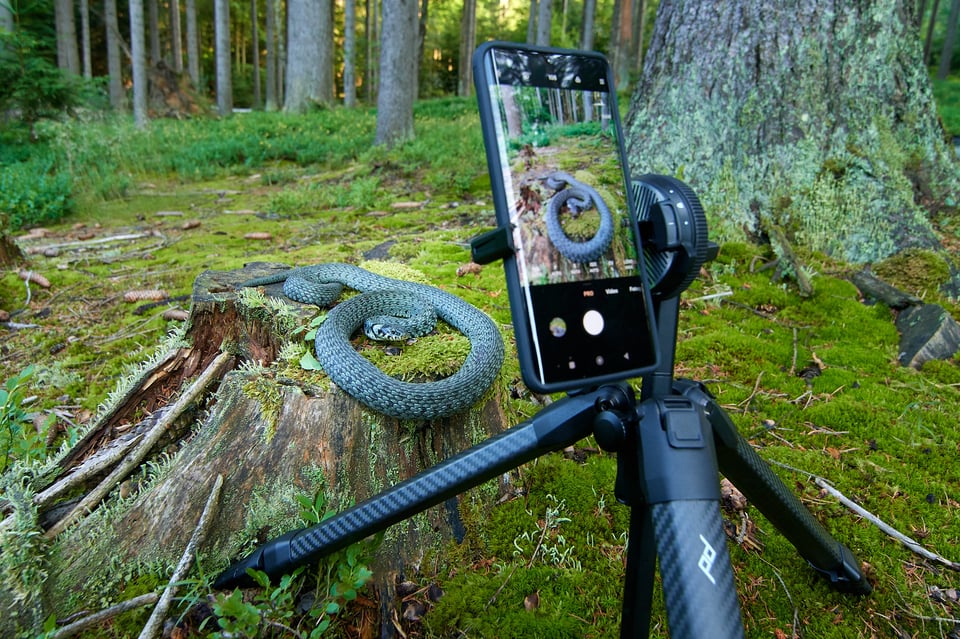 Peak design tripod_Grass snake