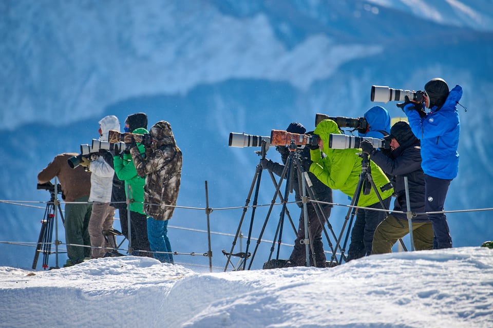 Photographers_Telephoto_Vulture