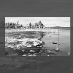 Viewfinder App Screenshot Mono Lake 12x20 Camera Thumbnail