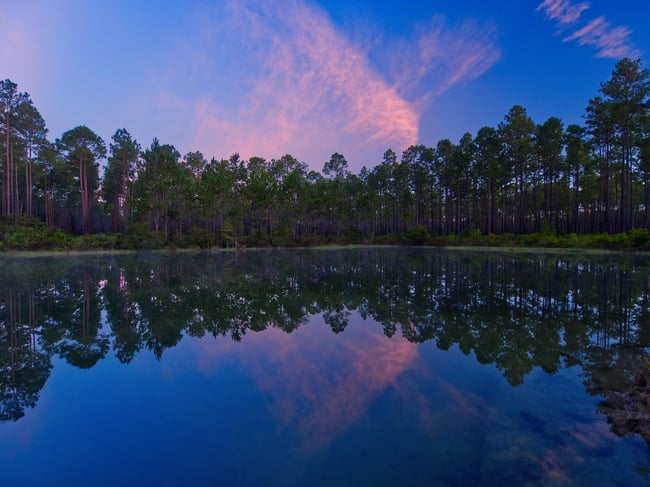Florida Lake sunrise Olympus M.zuiko 9-18mm f4-5.6