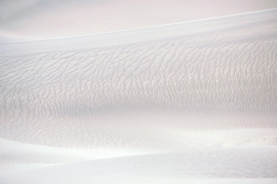 Nikon-Z-100-400mm-f4.5-5.6-VR-S-Lens-Review-Sample-Image-Photography-Life00034