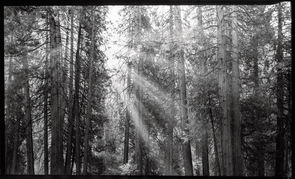 Sun rays in Yosemite Valley 12x20 Print Darkroom