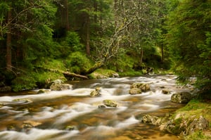 Elbe_Krkonose_Czech Republic