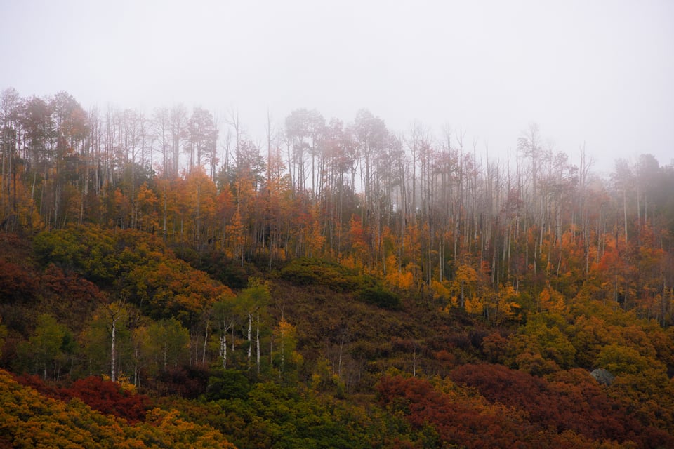 Canon-eos-r5-00014