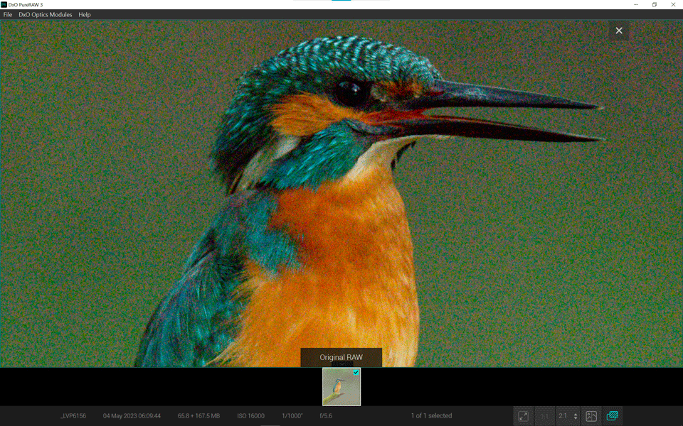 Kingfisher_DxO PureRaw3_Before and After